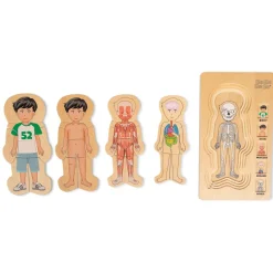 Anatomi Puslespil - Dreng