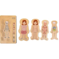 Anatomi Puslespil - Pige