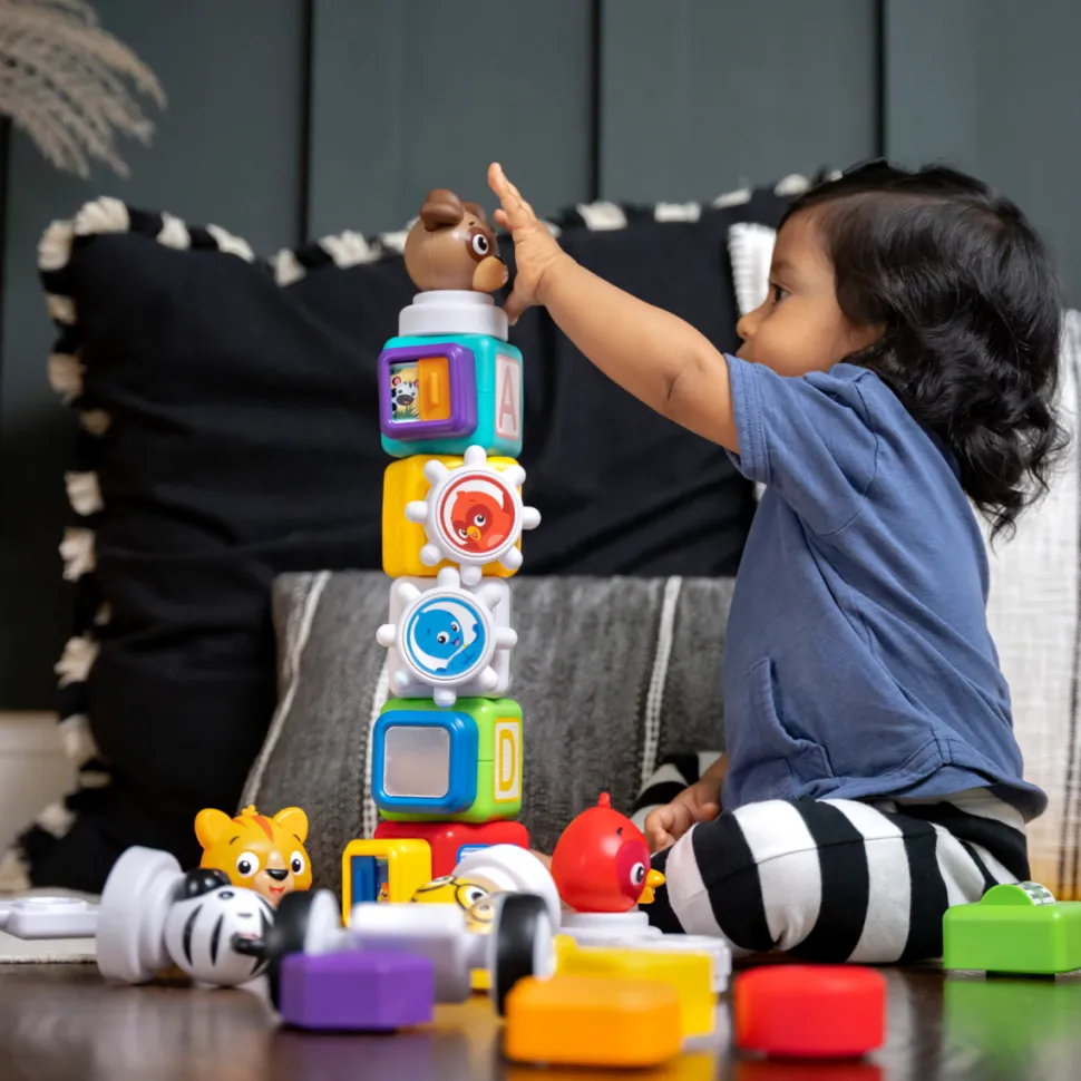 Baby Einstein - Magnetleg, Connect & Create