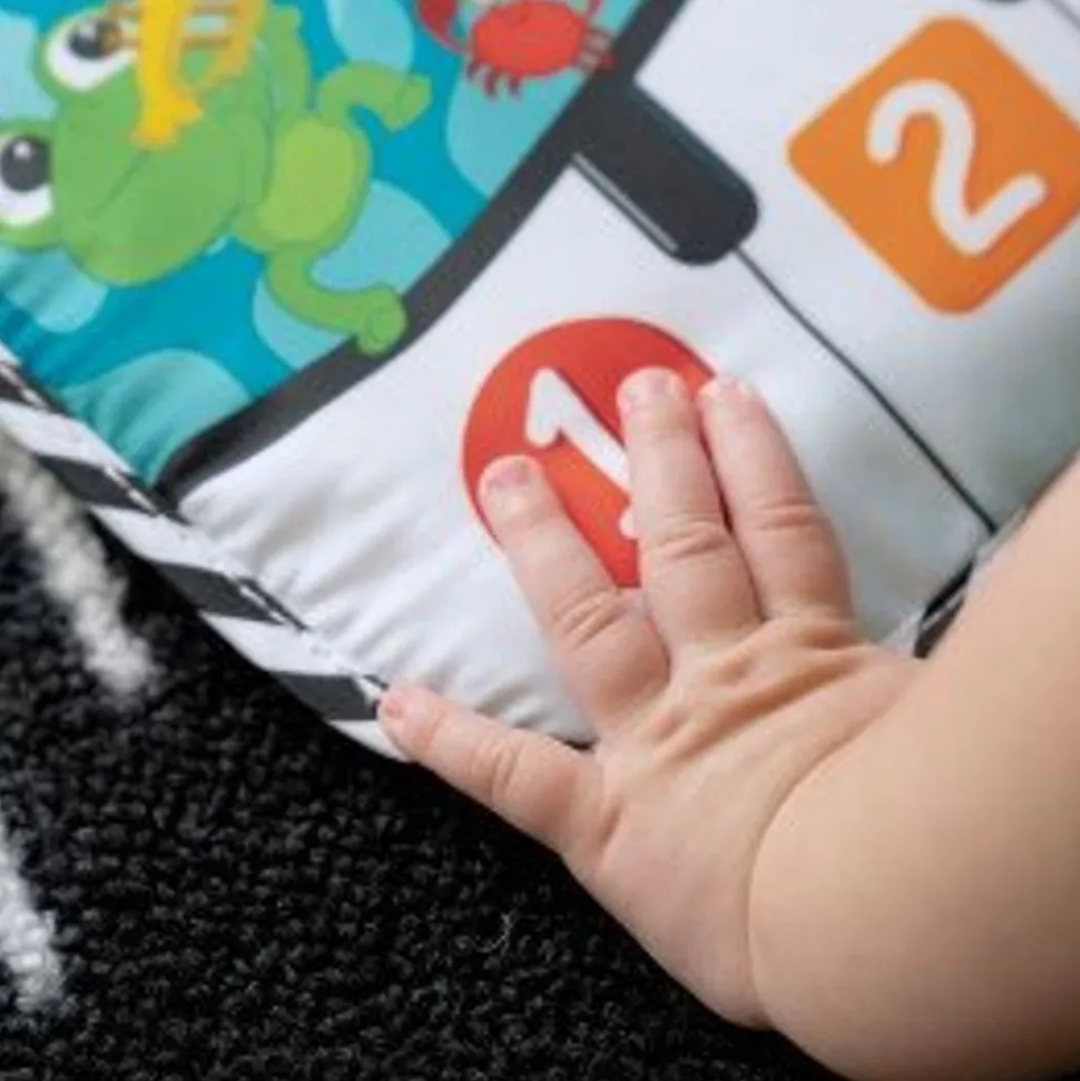 Baby Einstein - Musikmatte