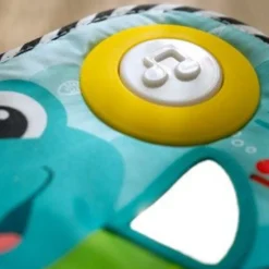 Baby Einstein - Musikmatte