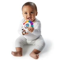 Baby Einstein - Rangle- Og Bidering