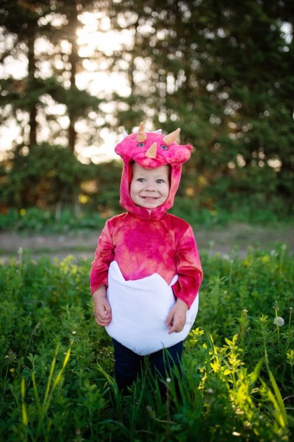 Baby Triceratops, Str. 1-2 Ar