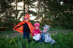 Baby Triceratops, Str. 1-2 Ar