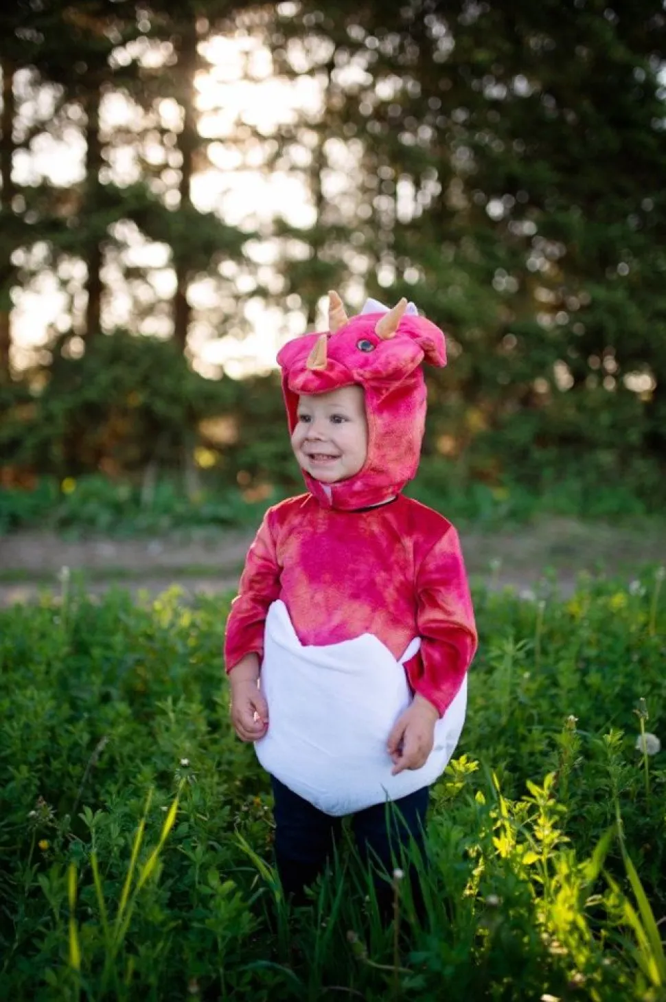 Baby Triceratops, Str. 1-2 Ar