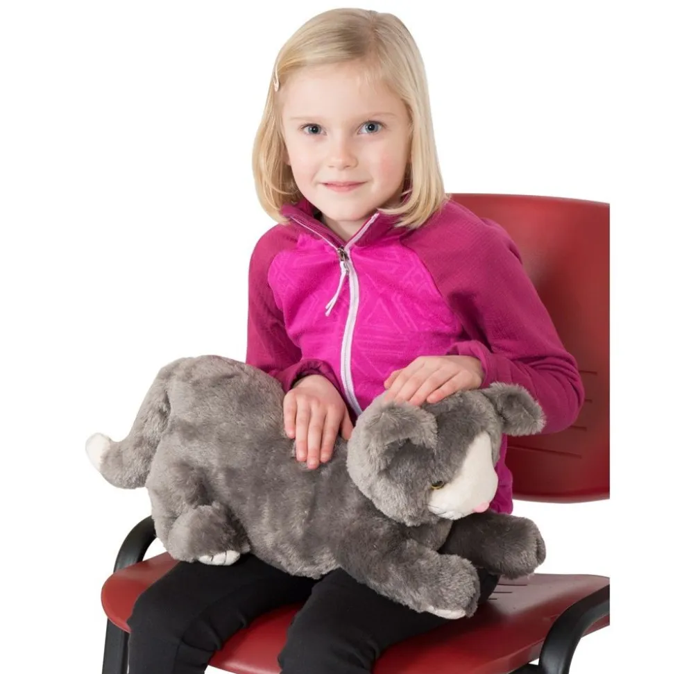 Beroligende Terapi Kat - 1,9 Kg