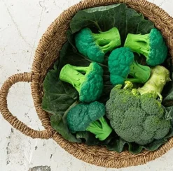 Bidelegetøj - Broccolien Brucy