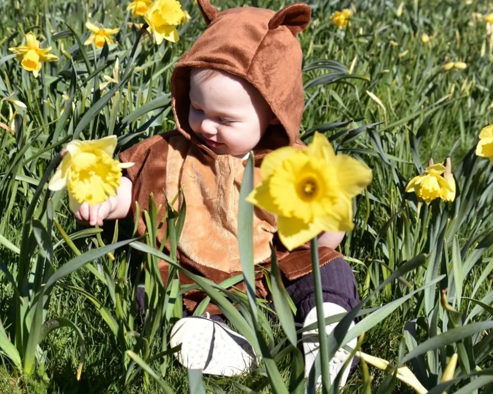 Bjornedragt, Str. 1-4 Ar