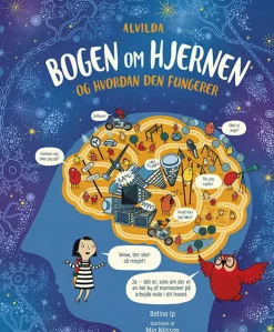 Bogen Om Hjernen Og Hvordan Den Fungerer