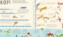 Bogen Om Sammenligninger