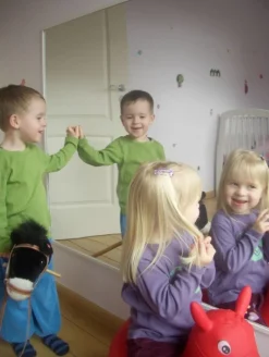 Brudsikkert Spejl - Gigant