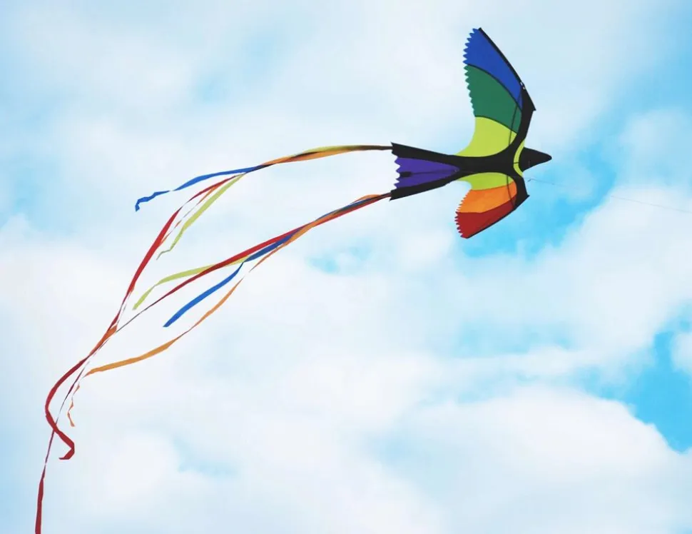 Drage - Fugl (130 X 75 Cm.)