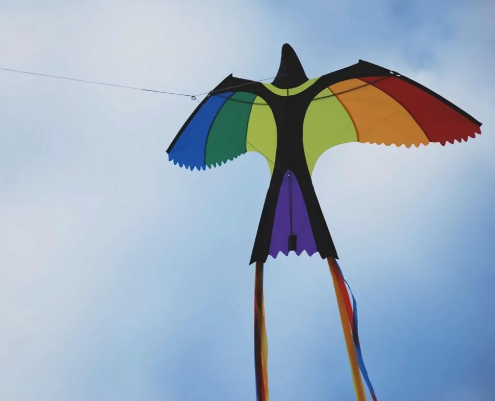 Drage - Fugl (130 X 75 Cm.)