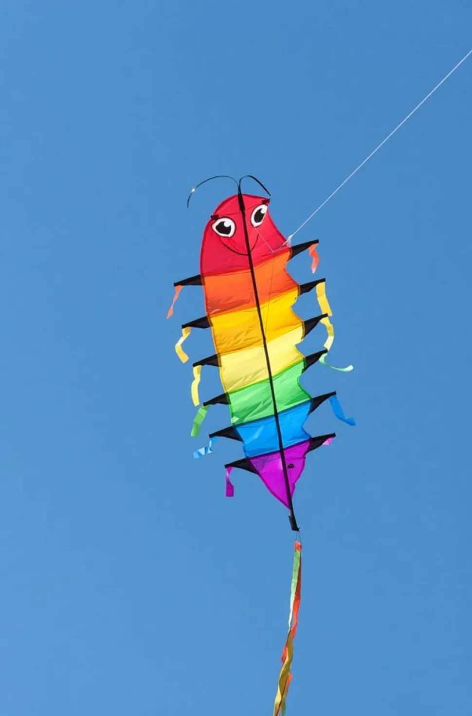 Drage - Orm (48 X 115 Cm.)