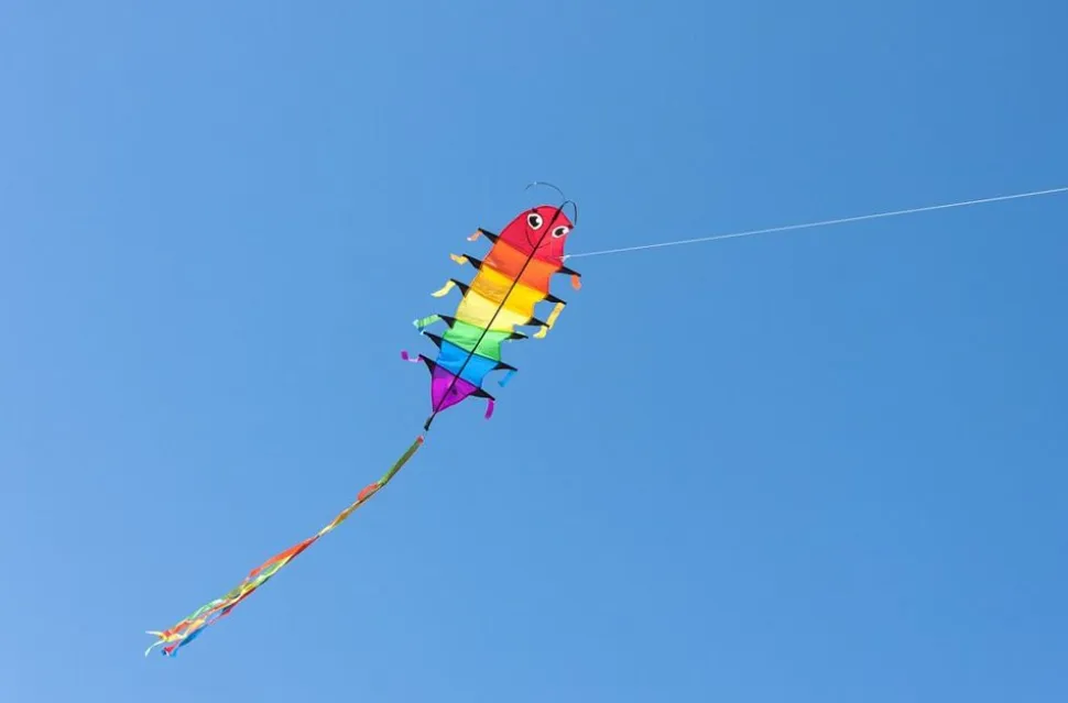 Drage - Orm (48 X 115 Cm.)