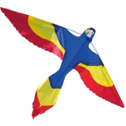 Drage - Regnbue Papegoje