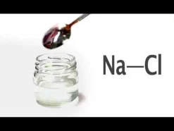 Green Science - Saltdrevet Robot