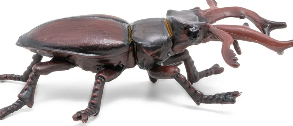 Hjortebille - L: 7 Cm