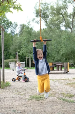 2-I-1 Gynge - Turn & Swing