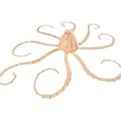 Kapla Klodser, 1.000 Stk