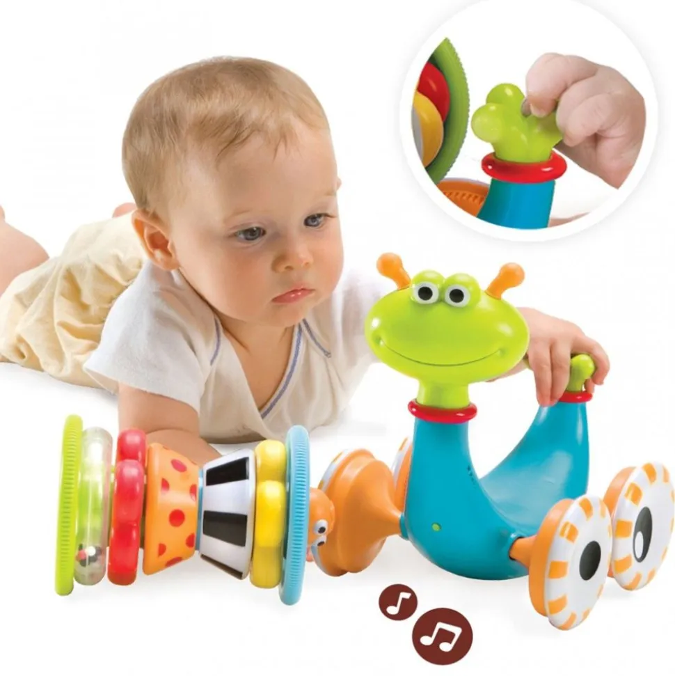 Kravle- Og Stablesnegl