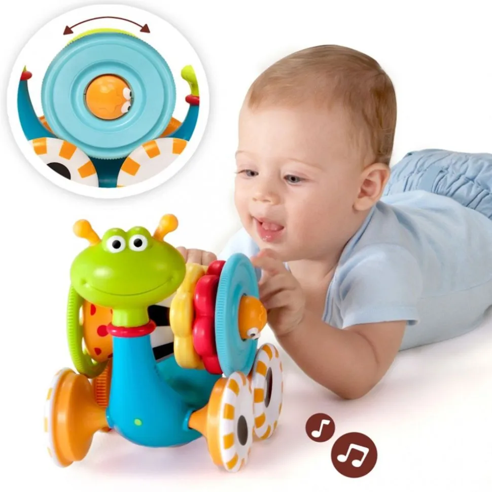 Kravle- Og Stablesnegl