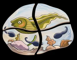 Lag Puslespil - Froens Livscyklus