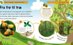 Livet I Skoven - Hvem Bor Her?