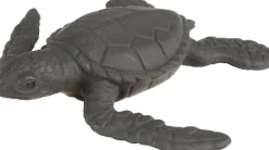 Livscyklus - Fra Aeg Til Havskildpadde