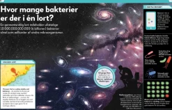 Lort! Skidesjove Fakta Om At Lave Stort