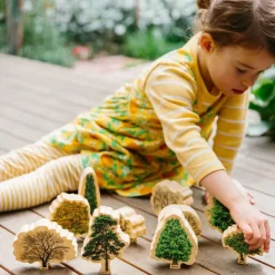 Lær Om Traeerne Og Arets Gang, 10 Stk