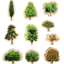 Lær Om Traeerne Og Arets Gang, 10 Stk