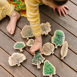 Lær Om Traeerne Og Arets Gang, 10 Stk