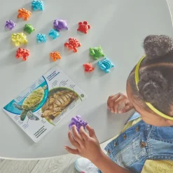 Matematik For Begyndere - Skildpadder