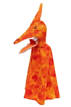 Pterodactylus, Str. 4-6 Ar