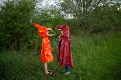 Pterodactylus, Str. 4-6 Ar