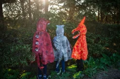 Pterodactylus, Str. 4-6 Ar