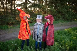 Pterodactylus, Str. 4-6 Ar