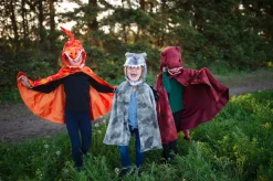 Pterodactylus, Str. 4-6 Ar