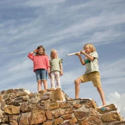 Pusterorsdart M. Malskiver Og Papirpile