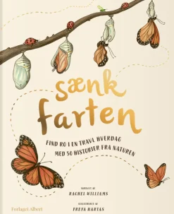 Saenk Farten - Med 50 Historier Fra Naturen