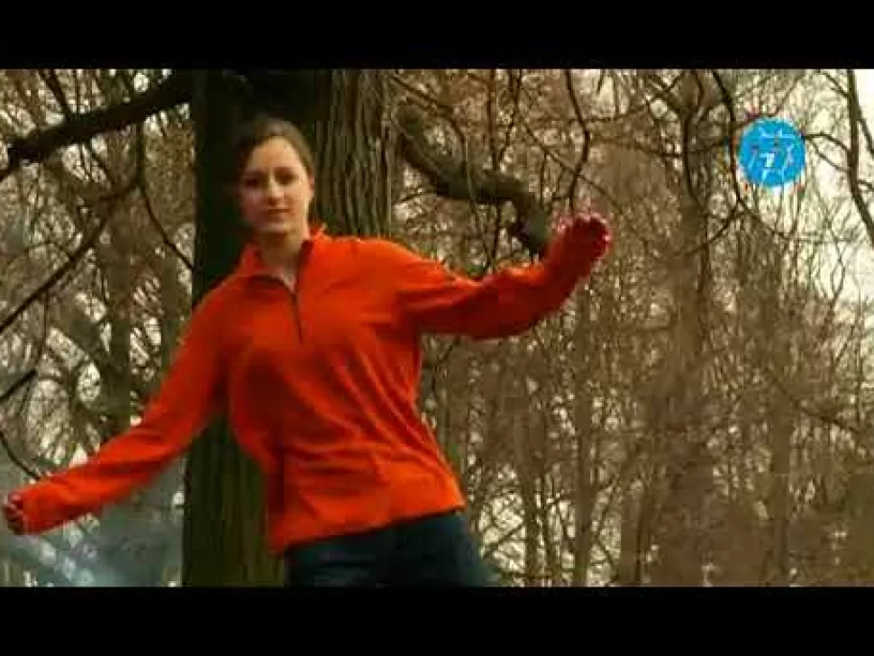 Slackline Balancesaet - Begynder/Family