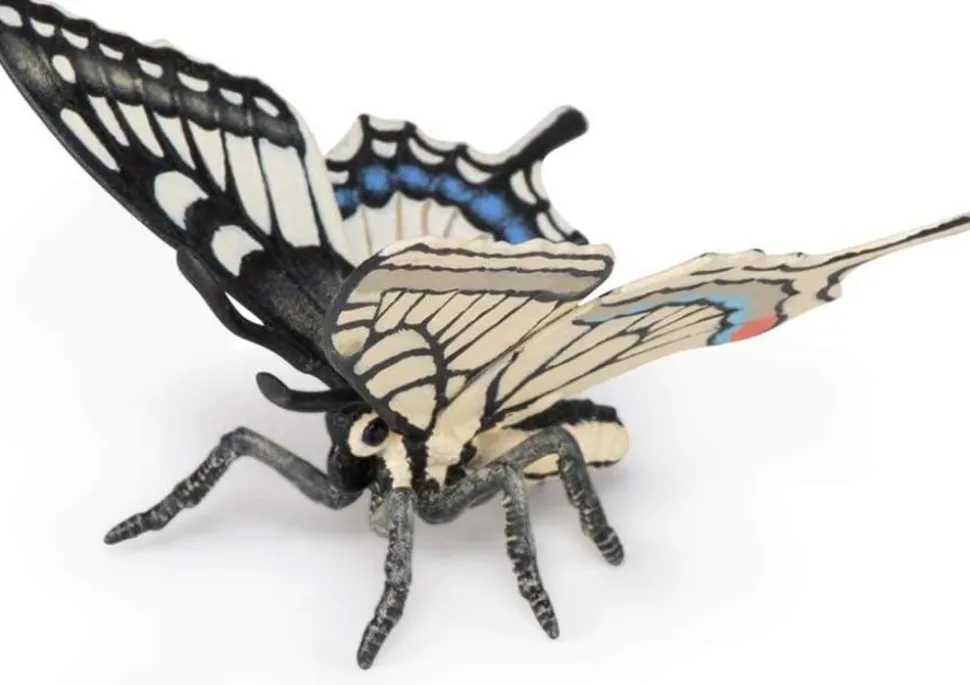 Svalehale Sommerfugl - B: 5,5 Cm