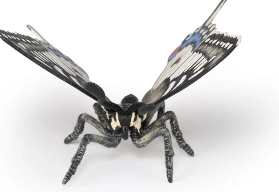 Svalehale Sommerfugl - B: 5,5 Cm