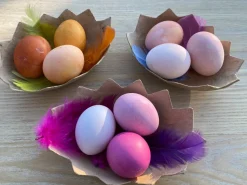 To-Delte Aeg I Karton, 4 Stk