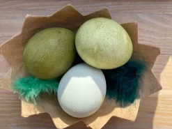 To-Delte Aeg I Karton, 4 Stk