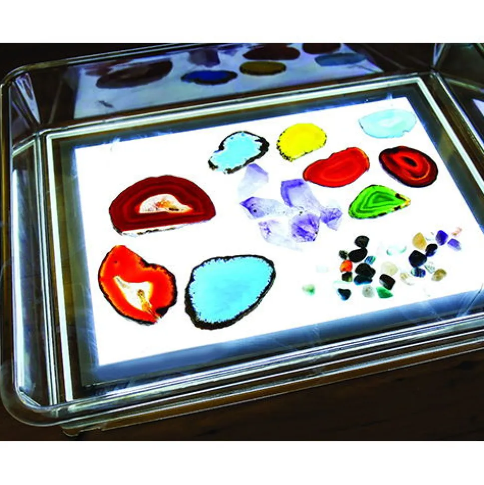 Transparent Bakke Med Sider