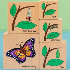 Træklodser - Livscyklusser