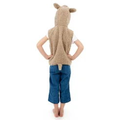 Vest M. Haette - Lama, Str. 3-7 Ar