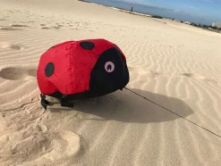 Vindmagi - Hoppende Mariehone (40 X 40 Cm.)